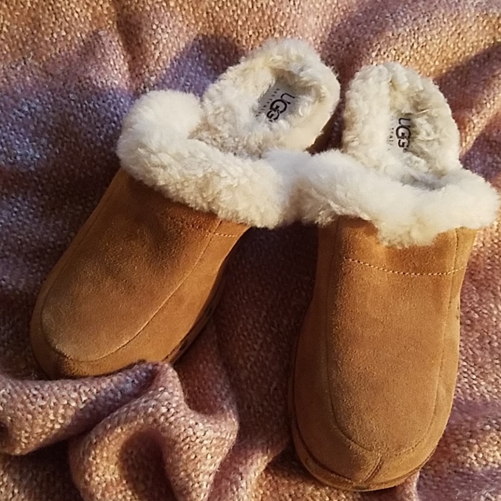 Uggs mules
